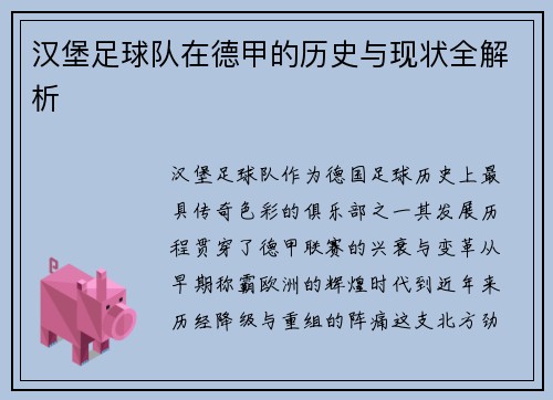 汉堡足球队在德甲的历史与现状全解析