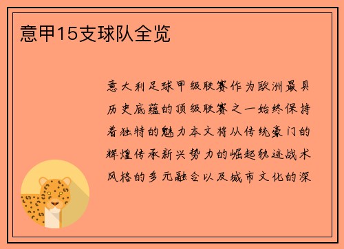 意甲15支球队全览